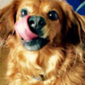 Meet your Posher, Ashlyn